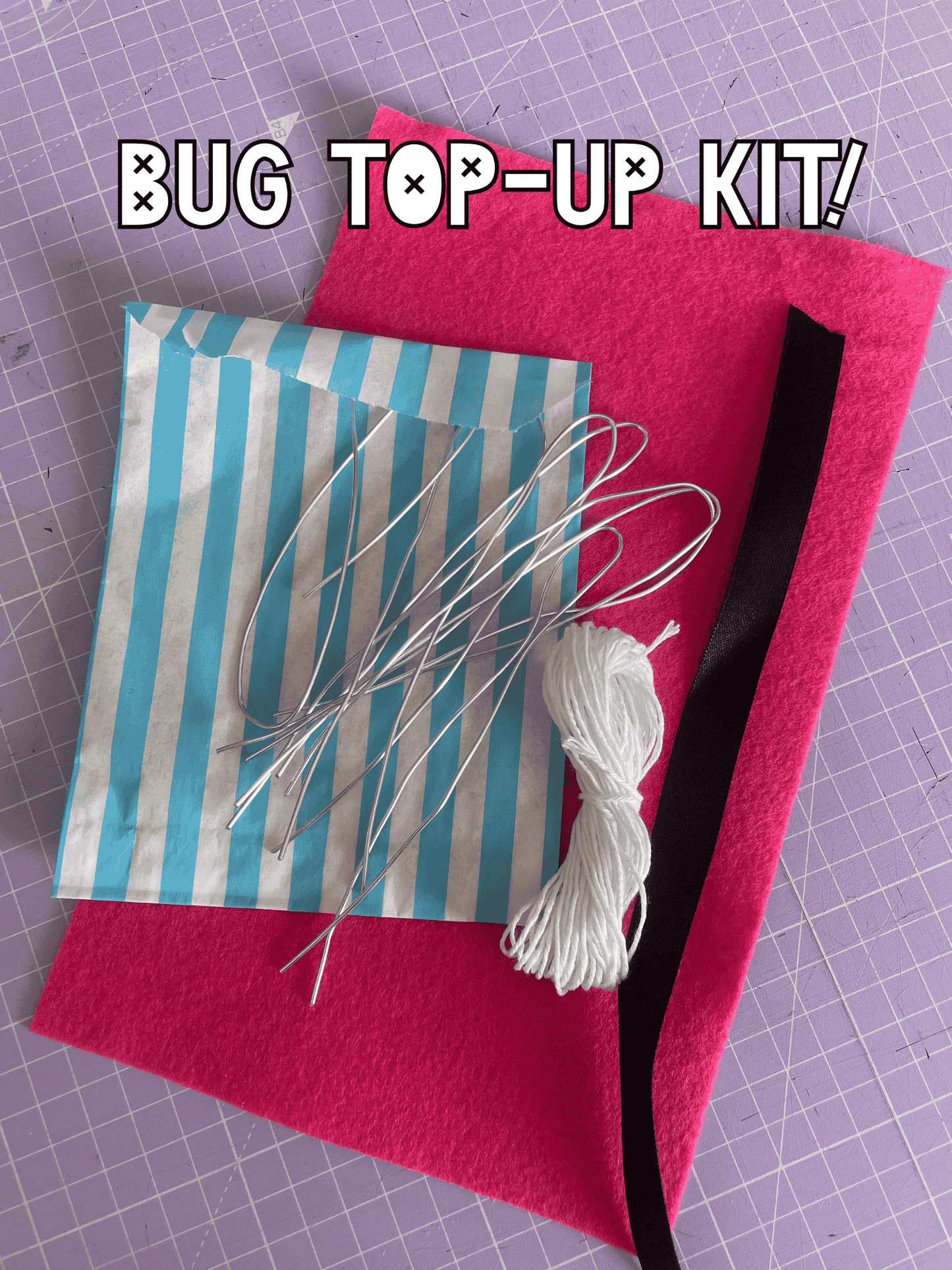 Fabric Beetle Bug Sewing Kit - different colours available!
