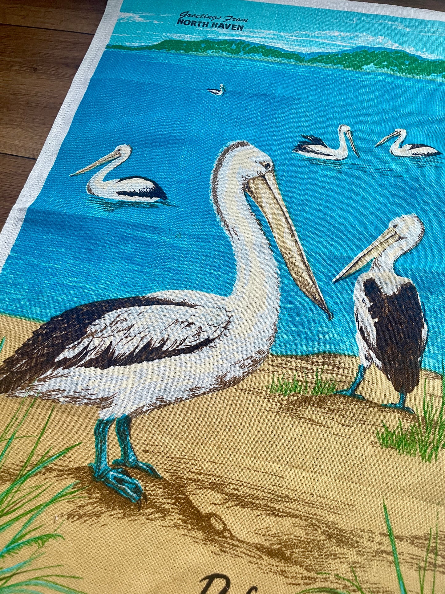 Tea Towel Kit - Pelican Island