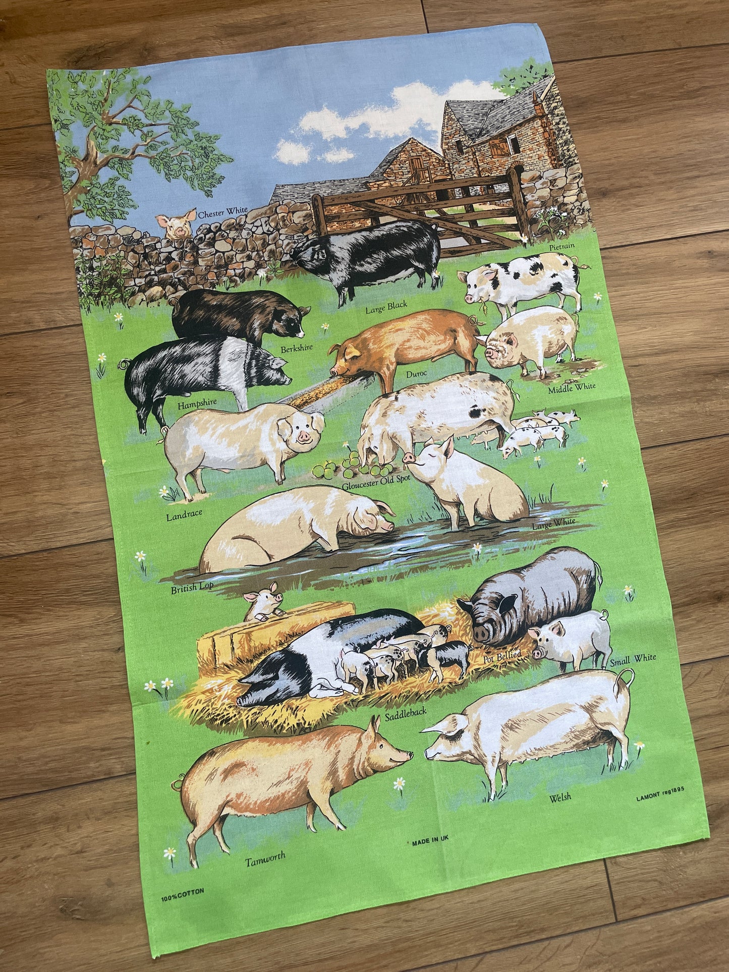 Tea Towel Kit - A Piggy Pool