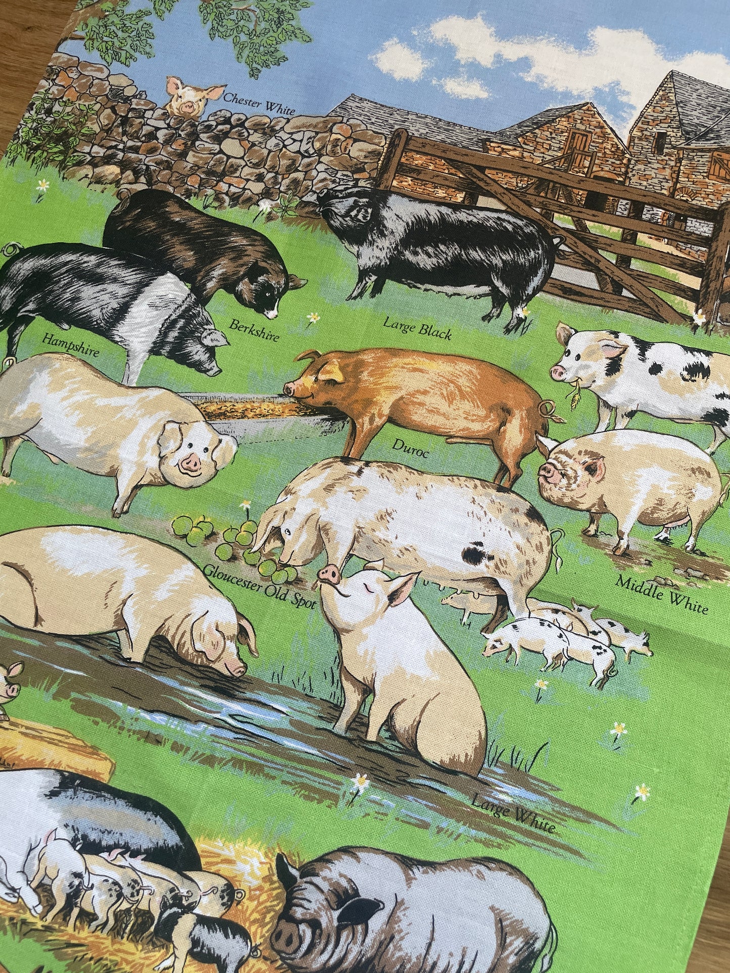 Tea Towel Kit - A Piggy Pool
