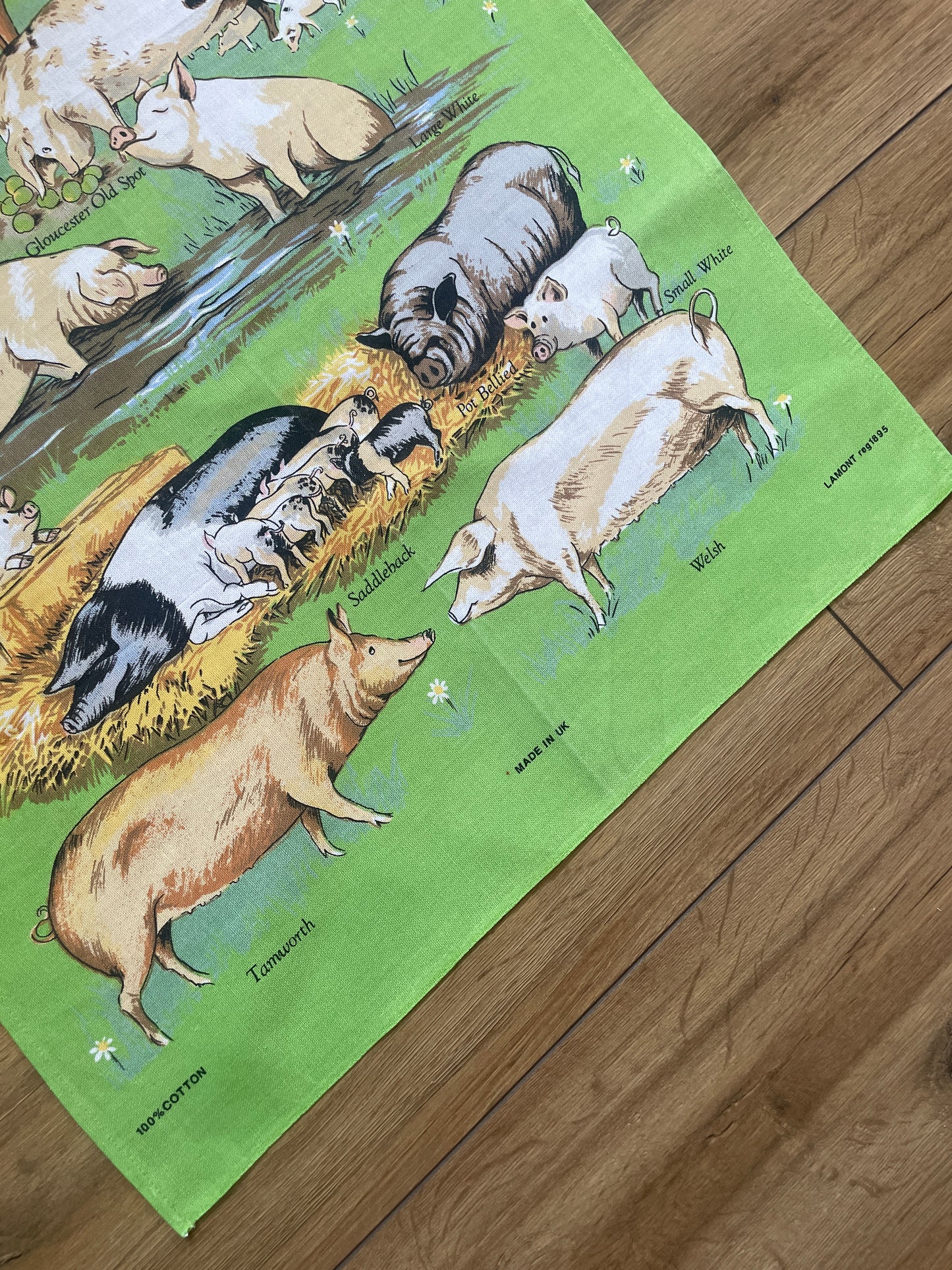 Tea Towel Kit - A Piggy Pool