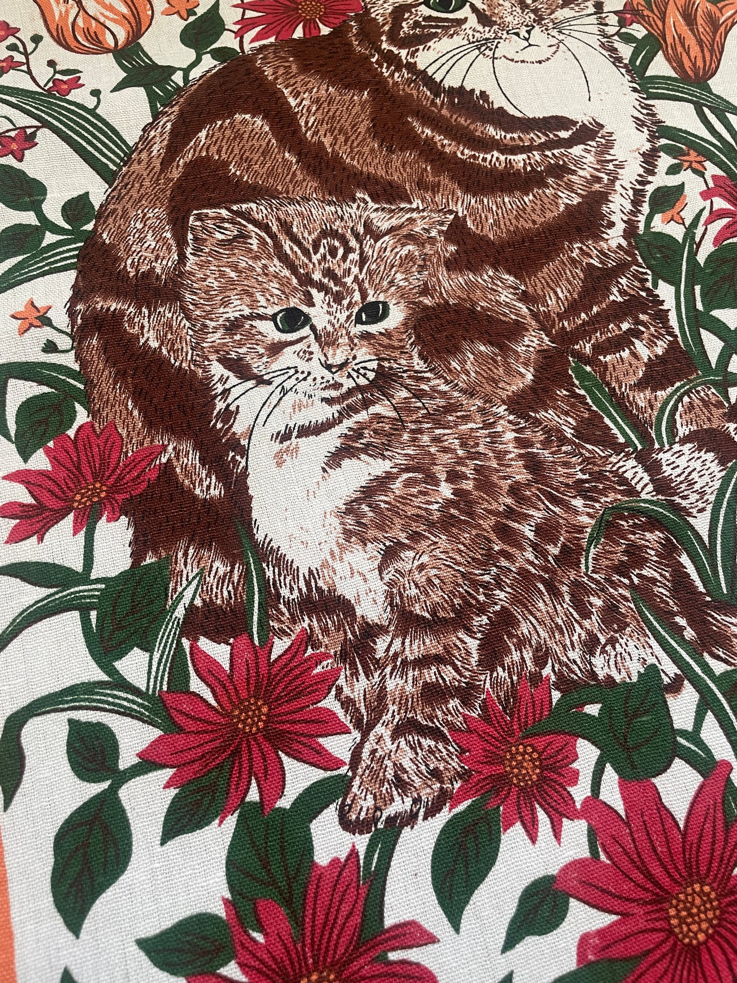 Tea Towel Kit - Peach Cats