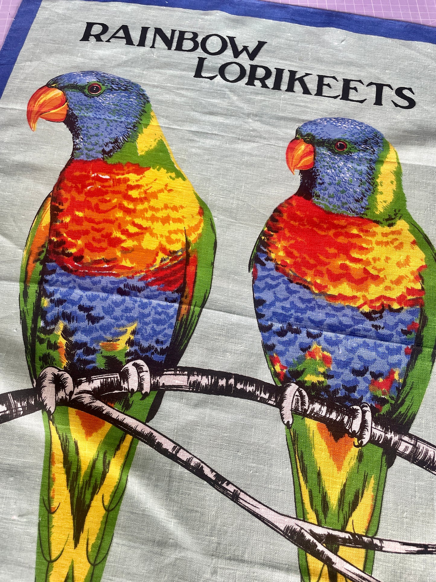 Tea Towel Kit - Rainbow Lorikeets